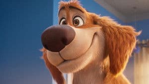 Charlie the Wonderdog — foto 3