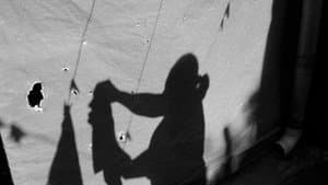 LA MUJER INVISIBLE — foto 2