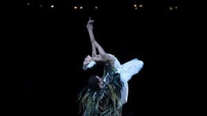 English National Ballet: Swan Lake — foto 1