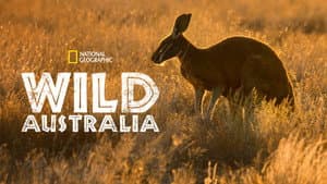 Wild Australia — foto 6