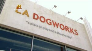 Episodio 5