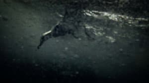 Leviathan — foto 3