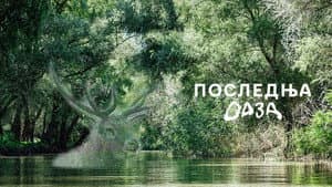 Poslednja oaza — foto 2