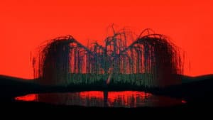 Phosphenic Archives — foto 4