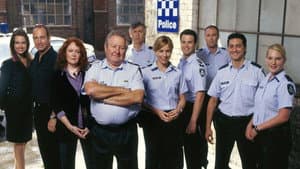 Blue Heelers — foto 1