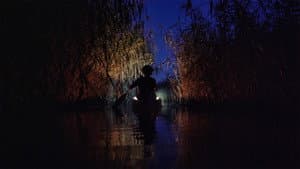 Jóreménység-sziget — foto 6