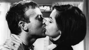 The Wild Affair — foto 7