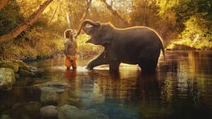 Nuestro bebé elefante — foto 3