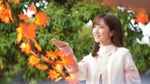 十月初五的月光 — foto 2