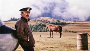 Мимино — foto 2
