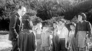 その後の蜂の巣の子供たち — foto 1