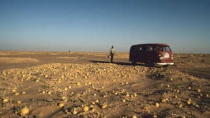 Hitchhiking to the Edge of Sanity — foto 1