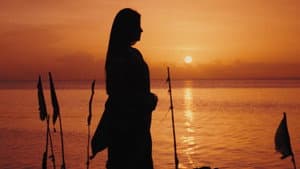 The Seas Between Us — foto 1