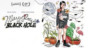 Marvelous and the Black Hole — foto 4