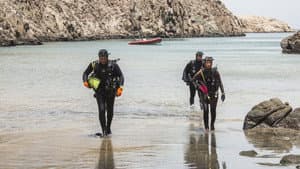 Pacificum: El retorno al océano — foto 6