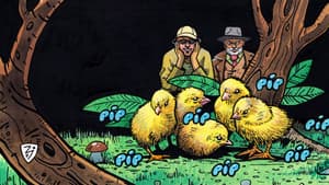 Episodio 9