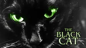 The Black Cat — foto 3