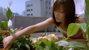 파라다이스 빌라 — foto 1