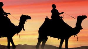 Black Pharaohs: Empire of Gold — foto 5