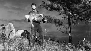 Hunted — foto 6