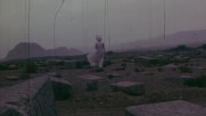 عروس کهنه — foto 1