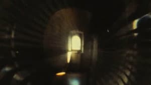 L'Ange — foto 6