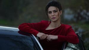 Episodio 25