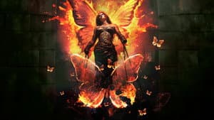 Burning Butterflies — foto 1