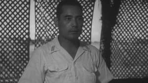 加藤隼戦闘隊 — foto 3
