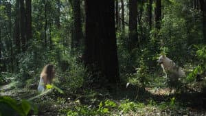 All Silent Dogs — foto 1