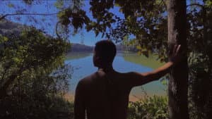Selva — foto 1