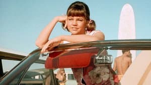 Gidget — foto 4