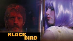 Blackbird — foto 6