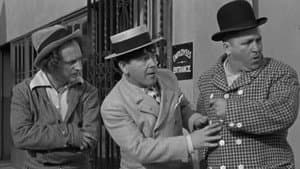 Movie Maniacs — foto 1