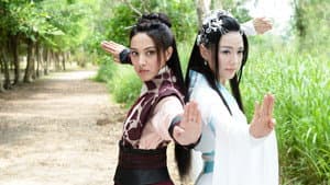 翻生武林 — foto 1