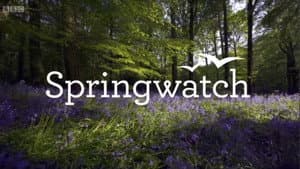 Springwatch — foto 2