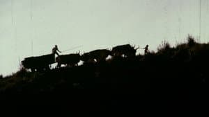 Carro de Bois — foto 1