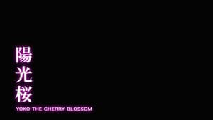 陽光桜－YOKO THE CHERRY BLOSSOM－ — foto 1