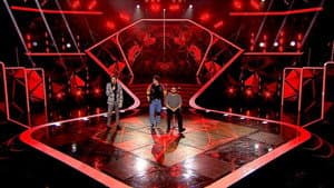 Sztárban sztár leszek! — foto 10