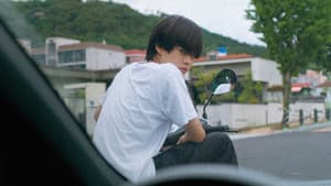 여름이 지나가면 — foto 2