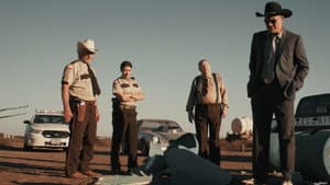 Texas Cotton — foto 3