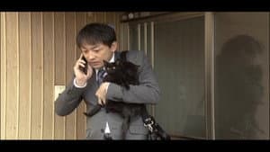 くろねこルーシー — foto 1
