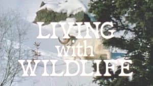 Episodio 9