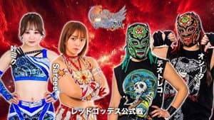 第15回 ゴッデス・オブ・スターダム ～タッグリーグ戦～ in KANDAMYOUJIN — foto 3