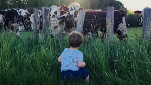 Faut-il arrêter de manger les animaux ? — foto 1