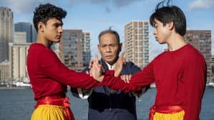 Kung Fu Leeuw — foto 4