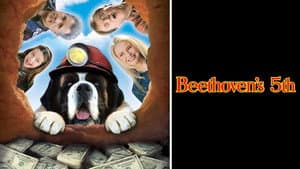 Beethoven 5: El perro buscatesoros — foto 11