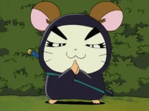 Nin-Ham, el ninja