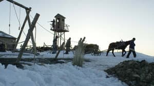 Ұлы дала зары — foto 9