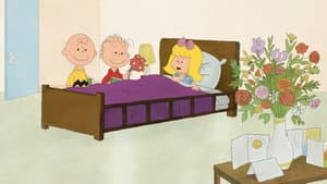 Why, Charlie Brown, Why? — foto 1